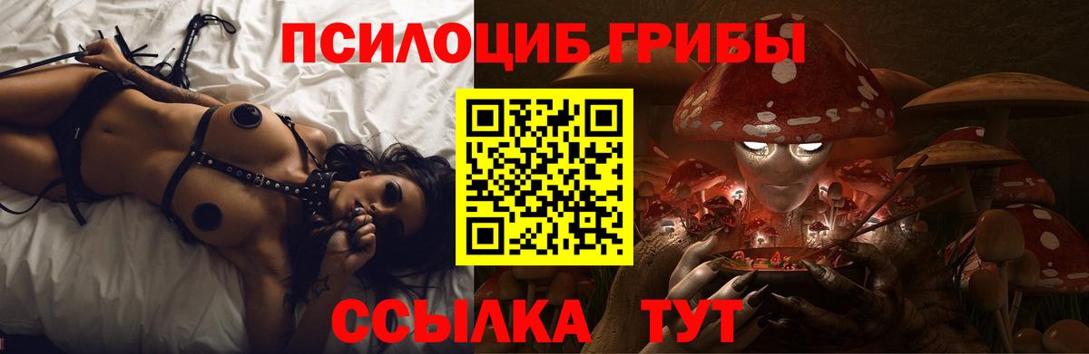 Рыбинск  Галлюциногенные грибы Cubensis  Вход с VPN 